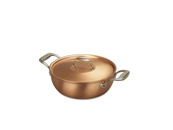 2581S1810withcover_1 2581S1810withcover_1